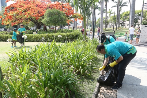 Mutirão de Conscientização Ambiental – 2015