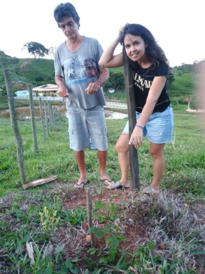 IUBH Meio Ambiente - 2018